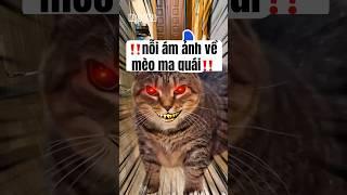 ‼️nỗi ám ảnh về mèo ma quái‼️ #shortvideo #xuhuongyoutube