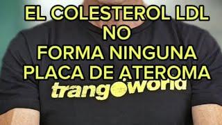 El Colesterol LDL no guarda relación con la placa de ateroma. Lean Mass Hyper Responder. Keto Trial