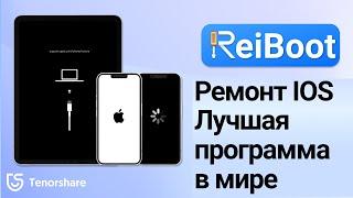 Tenorshare reiboot скачать-Инструмент для восстановления системы iOS (скачать бесплатно на русском)