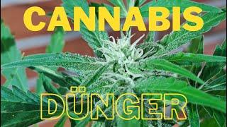 Cannabis Dünger: Der beste Dünger für Cannabispflanzen