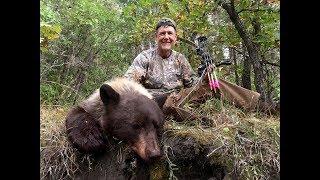 Colorado chocolate/blonde bear with a recurve - Fred Eichler