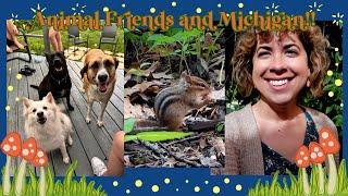 ️Chipmunks, Dogs and Birds!!️ Cozy stuff and an escape to Michigan!