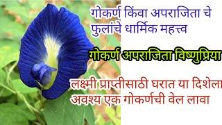 Gharat or Dishela must pluck the tree of Gokarna or Aparajita. Mother Lakshmi is dear to Gokarna flower.