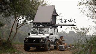 蓬萊林道野營 Taiwan gclass camping