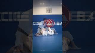 Guard Passing: Half Guard Pass