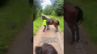 POV you get on your young horse from the ground for the first time #horse #horsingaround #younghorse