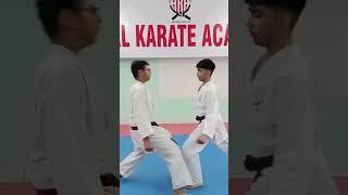Mae Geri Target Training.