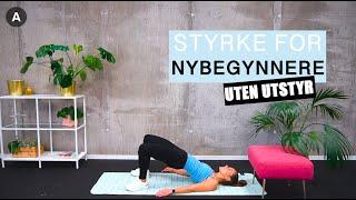 Styrketrening for nybegynnere uten utstyr | Disse øvelsene kan ALLE gjøre!