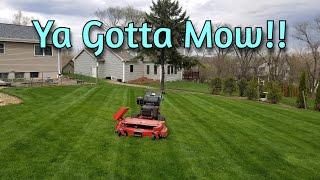Mowing is the Foundation of a Healthy, Dark Green Lawn