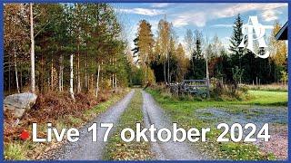  Live med Anders på landet 17 oktober 2024