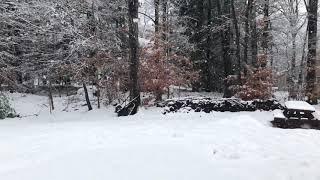 November Snow on Chases Pond Road in York, Maine