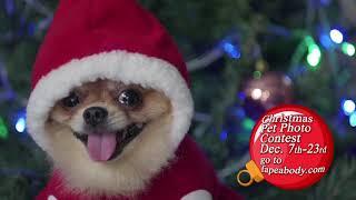 2020 Facebook Christmas Pet Photo Contest