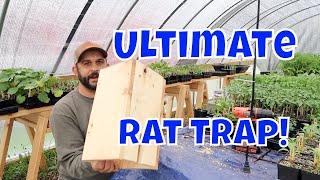 No More Rats!  Easy Homemade Rat Trap