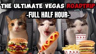 CAT MEMES: THE ULTIMATE FAMILY ROADTRIP HALF HOUR COMPILATION