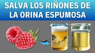 5 HÁBITOS Matutinos Para DETENER LA PROTEINURIA (Impulsar La SALUD RENAL) | Vida Saludable