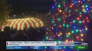 Springdale commences holiday season with tree lighting ceremony