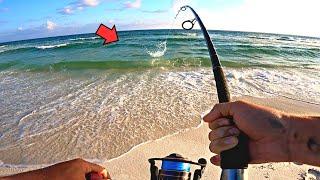 Catching GIANTS From the BEACH for 1 Hour Straight!