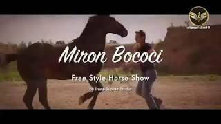 Miron Bococi - Free Style Horse Show  Far away 