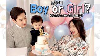 노받침패밀리의 #젠더리빌 파티!  첫째 로이가 성별 맞출까요? #genderreveal #젠더리빌파티