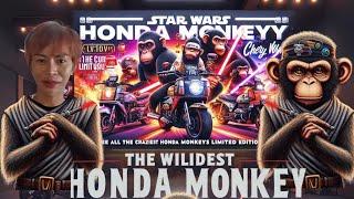 Star Wars Honda Monkeys? See All the Craziest Honda Monkey Limited Editions at Cub House Pattaya!