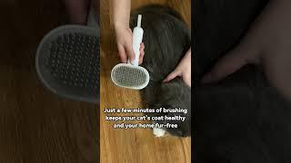 Does your cat leave a trail of fur everywhere it goes? | Cat hair brush #aumuca #cat #amazongadgets