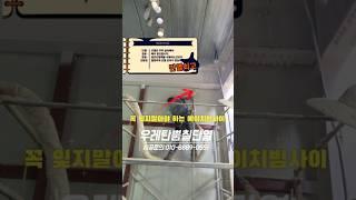 단열은 최소한 이렇게해야합니다 #준불연우레탄 #준불연 #난연 #단열공사비용 #인테리어 준불연단열재