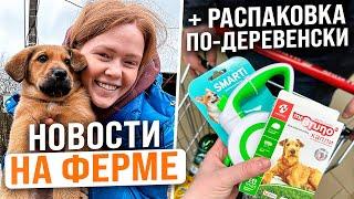 НОВОСТИ НА ФЕРМЕ | Фермерский шопинг по-деревенски