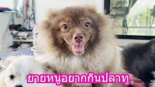 ยายหนูอยากกินปลาทู | ข้าวเหนียว ขี้กระโปกหมา