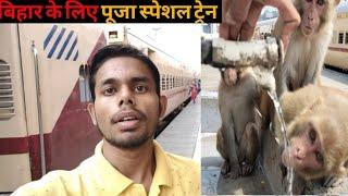 New Delhi Saharsa Pooja special train | बिहार जाने के लिए स्पेशल ट्रेन | बंदरों का मिला जमावड़ा |