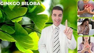 GINKGO BILOBA - nevjerojatne zdravstvene blagodati!