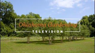 Oklahoma Gardening September 28, 2024