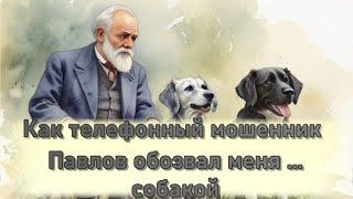 Как телефонный мошенник Павлов обозвал меня собакой