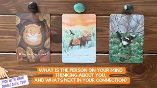 What is The Person on Your Mind Thinking About You, and What's Next in Your Connection? | Timeless