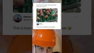 I Surprise My Eggs They Never See It Coming