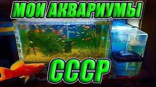 Мои аквариумы СССР, которым более 50 лет