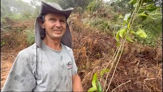 O BALAIO DE CIPÓ E BAMBU FEITO PELO CLÉSIO - NOVA TRENTO SC