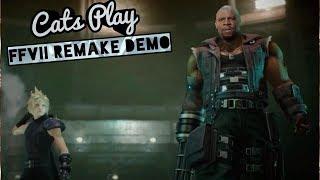 Cats Play FFVIIR Demo!