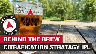 Citrafication Stratagy India Pale Ale | Behind the Brew