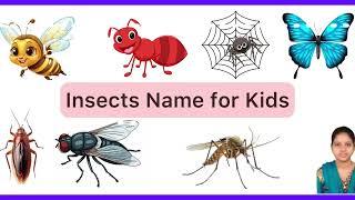 Class UKG - EVS- learn insect name for kids in English  / poochigalin peyargal