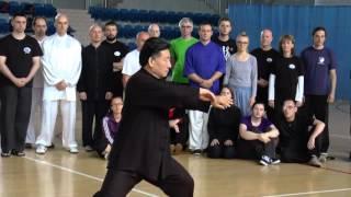 Tai Chi Forms 1 - Chen Xiao  Wang