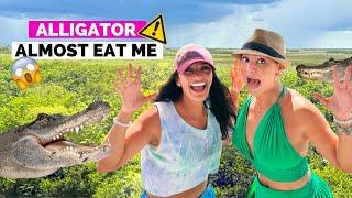 Alligator Almost Eat Me | Diana Hernandez TV | Shark Valley | Everglades Florida | Alligator