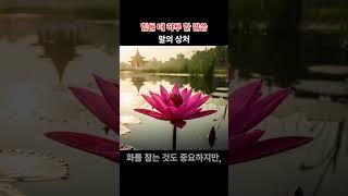 하루 한 말씀#부처님말씀 #명상 #힐링 #마음공부 #1분명상  #불교명언 #스트레스해소 #지친마음 #shorts #shortsvideo