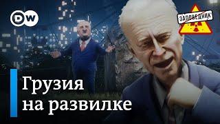 Что выберет Грузия? Байден помиловал сына. Маск ревнует Трампа – "Заповедник", выпуск 337, сюжет 3