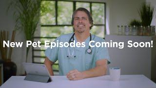 VetVid = Dog and Cat health care videos to keep your pet at their best!