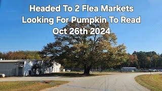 Autumn Drive VideoTo Flea Market #autumn #fall #travel #tourism #crow