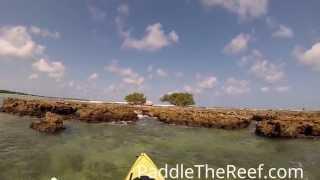Kayaking Little Bahia Honda Key - The Florida Keys