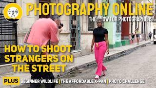 How to Photograph Strangers | Intro to Shooting Wildlife | Affordable X-Pan | Challenge Day 6