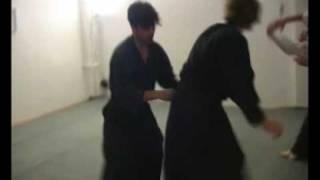 Harald Ross, Aikikan: aikikan late night 1