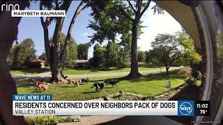 Valley Station residents frustrated, concerned over neighbors dogs