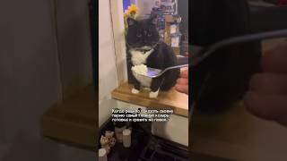 Приготовила любимому свое коронное блюдо. Главный козырь девушки
